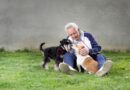 Estudo explora como terapia com cães pode auxiliar na redução da solidão